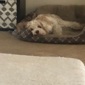 Meet your Posher, Brenda